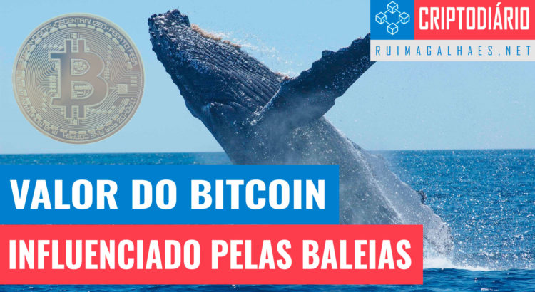 Baleias Influenciam Bitcoin